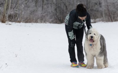 COVID-19 Service Protocol