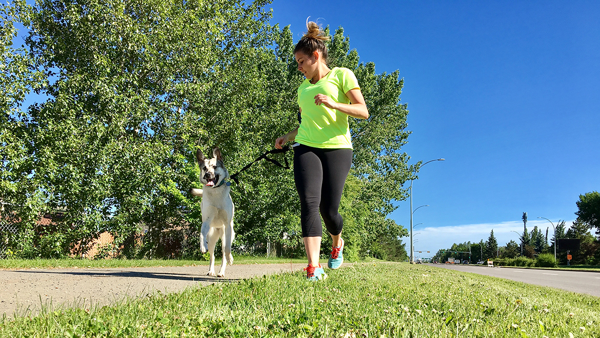 What is Dog Jogs? | Learn About The Dog Jogs Team & Read Our Story