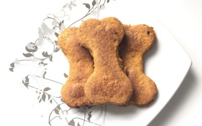 Peanut Butter and Pumpkin Dog Treats