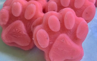 Strawberry PAWpsicles