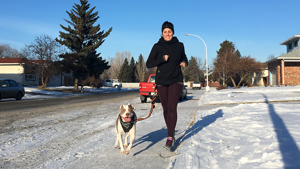 Winter dog jogs in Edmonton