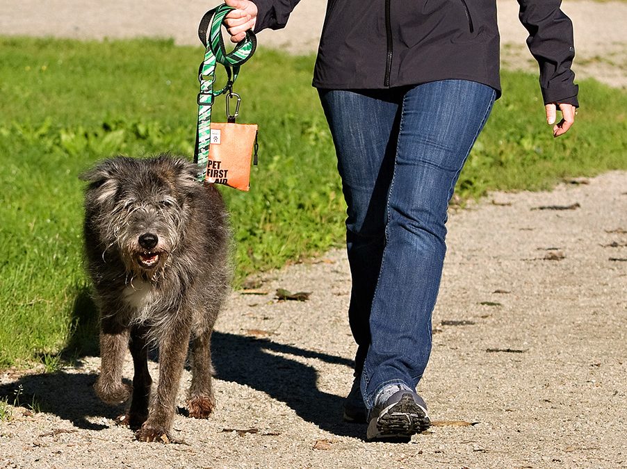 Keep your pet safe with Pet First Aid!