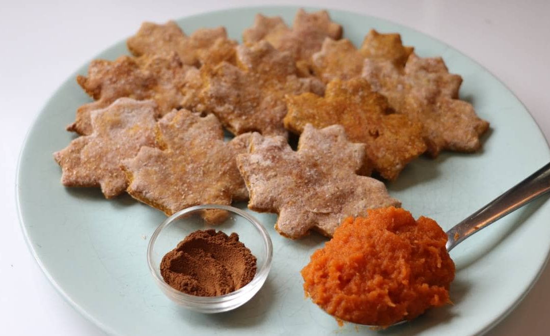 Pumpkin Pupper Treats