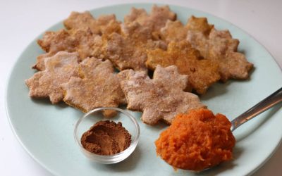 Pumpkin Pupper Treats