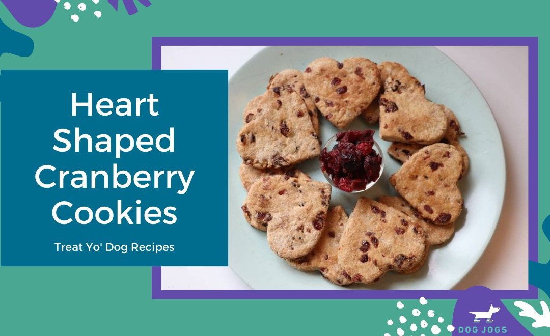 Heart Shaped Cranberry Cookies For Dogs