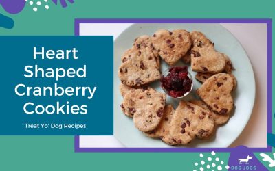 Heart Shaped Cranberry Cookies For Dogs