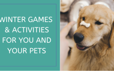 Winter Games & Activities For You and Your Pets