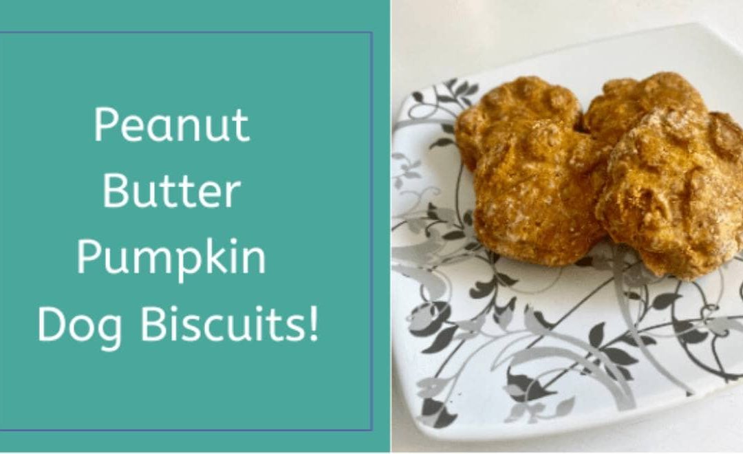 Peanut Butter Pumpkin Dog Biscuits