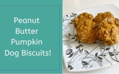 Peanut Butter Pumpkin Dog Biscuits