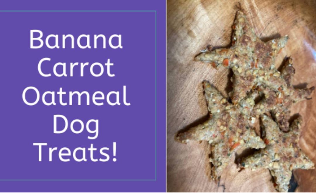 Banana Carrot Oatmeal Dog Treats!