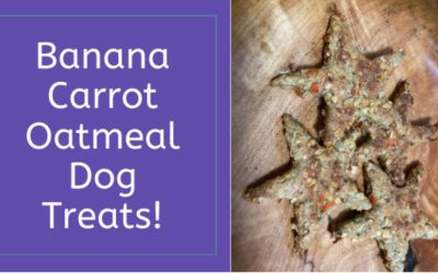 Banana Carrot Oatmeal Dog Treats!
