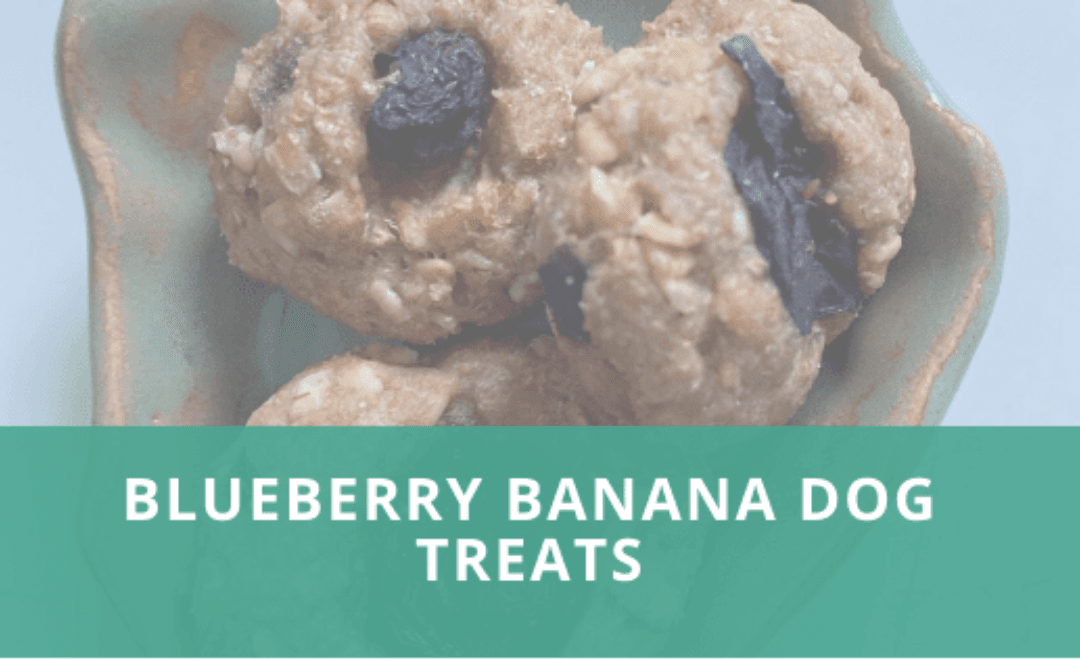 Blueberry Banana Dog Treats