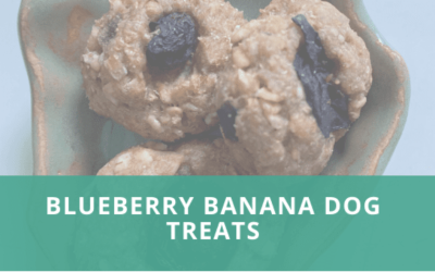 Blueberry Banana Dog Treats