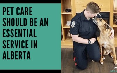 Pet care should be an essential service in Alberta