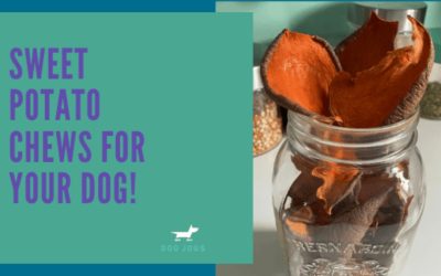 Sweet Potato Chews for your Dog!
