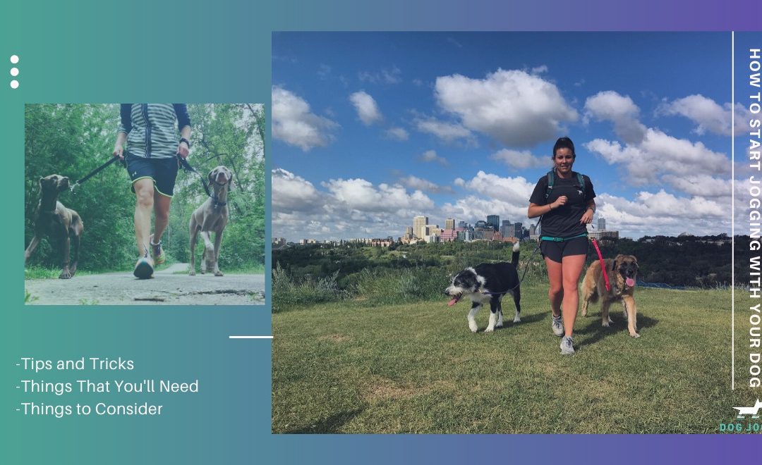 Want To Start Running With Your Dog?