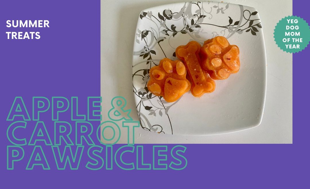 Apple And Carrot Pawsicles