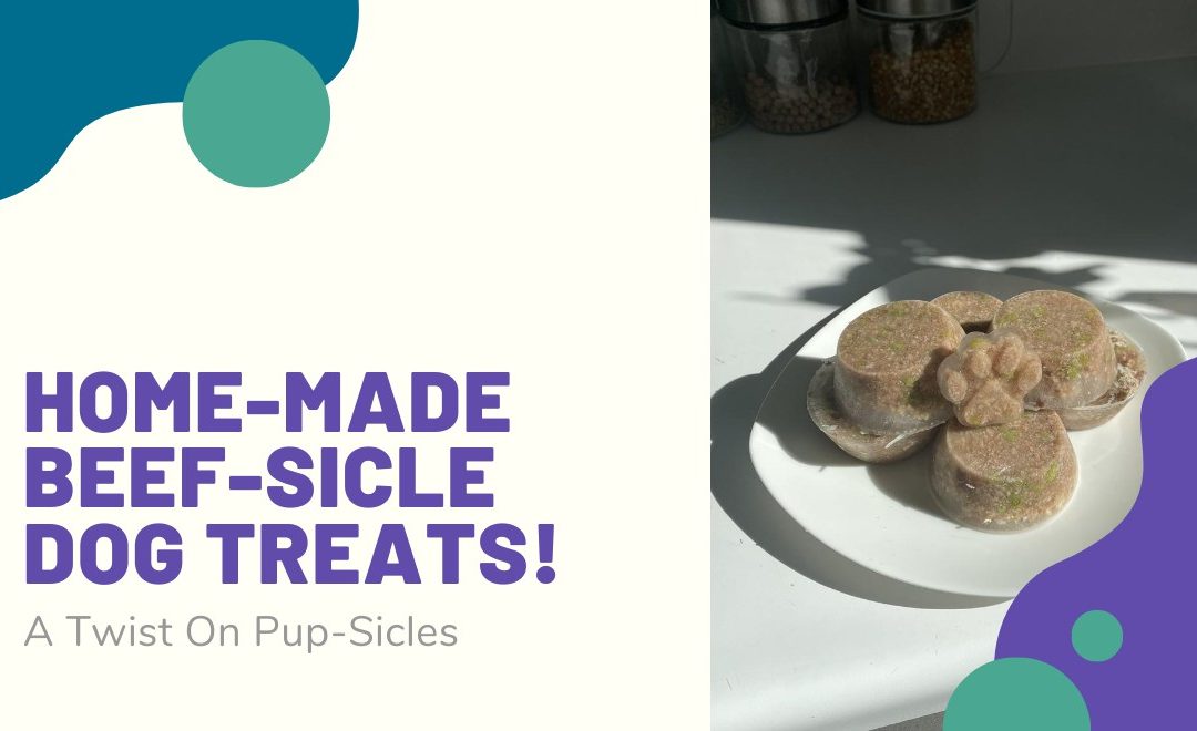 Home-Made Beef-Sicle Dog Treats!