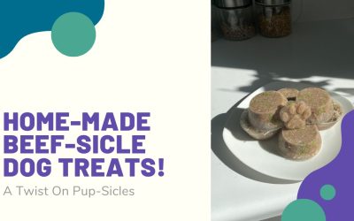 Home-Made Beef-Sicle Dog Treats!