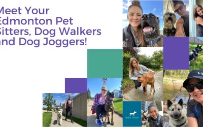 Meet Your Edmonton Pet Sitters, Dog Walkers and Dog Joggers! 