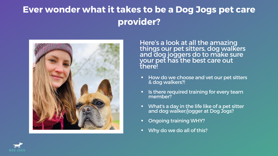 Edmonton Dog Walkers & Pet Sitters| Learn About The Dog Jogs Team