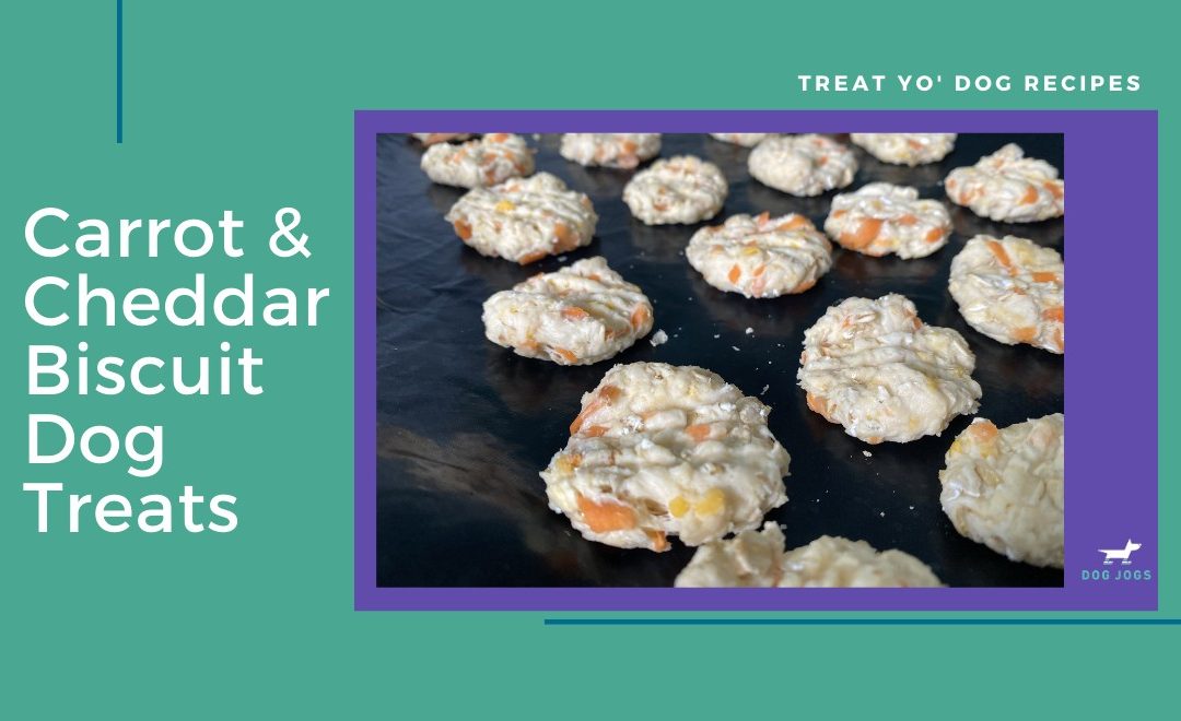 Carrot And Cheddar Biscuit Dog Treats