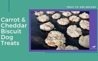 Carrot And Cheddar Biscuit Dog Treats