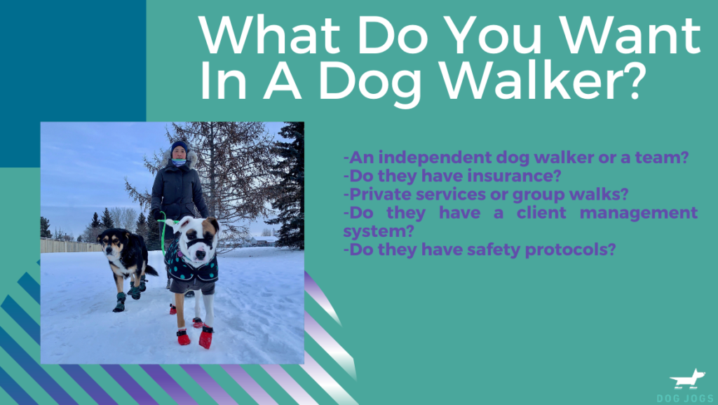 How Much Does A Dog Walker Cost In Edmonton Edmonton