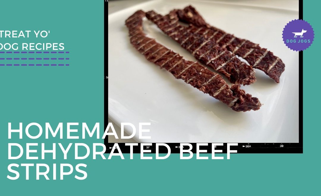 Homemade Dehydrated Beef Strips