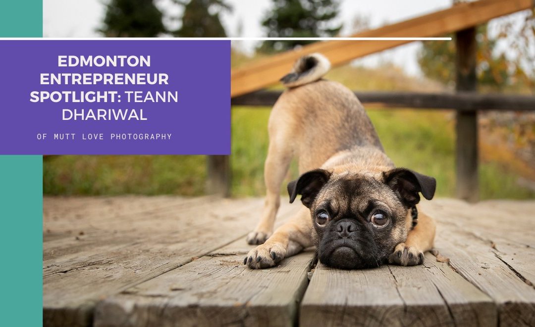Edmonton Entrepreneur Spotlight : Teann Dhariwal of Mutt Love Photography