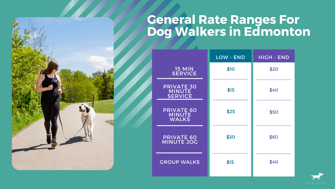 How Much Does A Dog Walker Cost In Edmonton Edmonton Dog Jogs