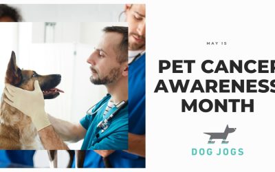 May – Pet Cancer Awareness Month