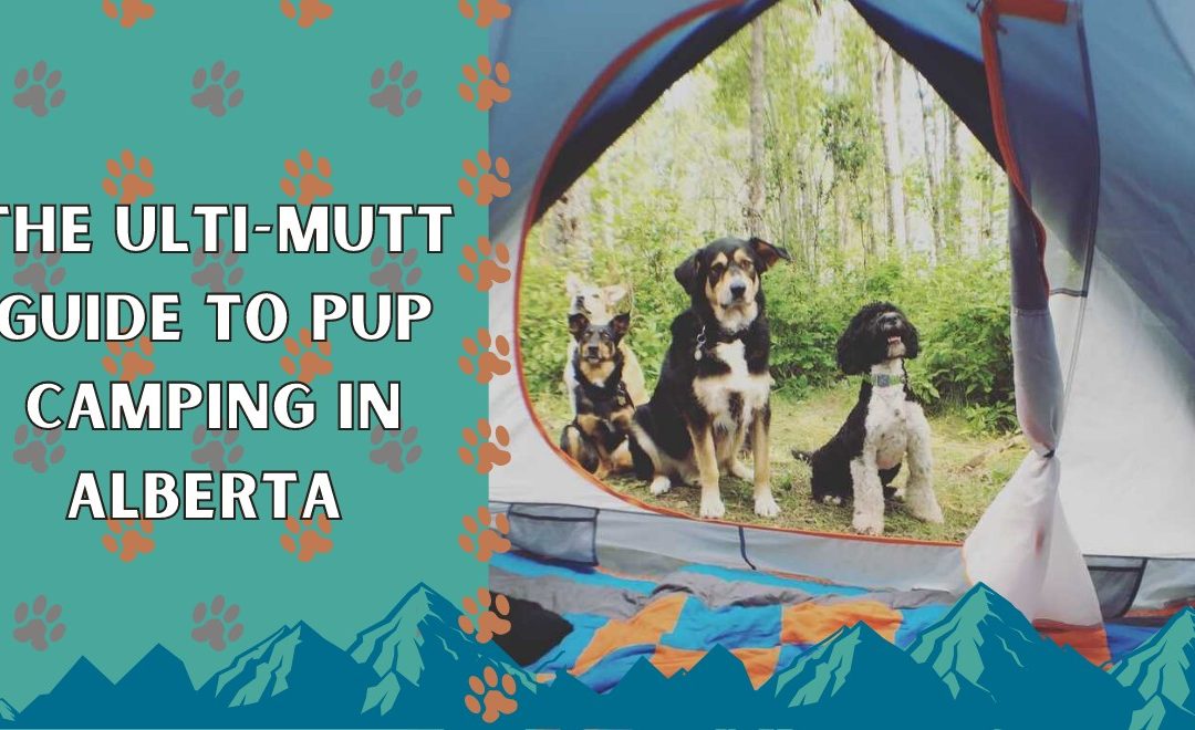 The Ulti-Mutt Guide to Pup Camping in Alberta