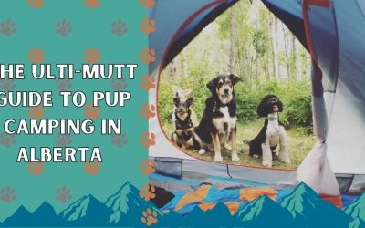 The Ulti-Mutt Guide to Pup Camping in Alberta