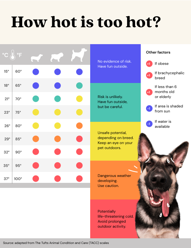 How to tell if your dog hot sale is overheating