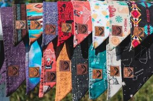Colorful dog bandanas featuring vibrant patterns and designs for pets, perfect for stylish accessory upgrades. Crafted for comfort and durability, suitable for all dog breeds and sizes.