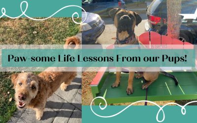 Paw-some Life Lessons from our Pups!
