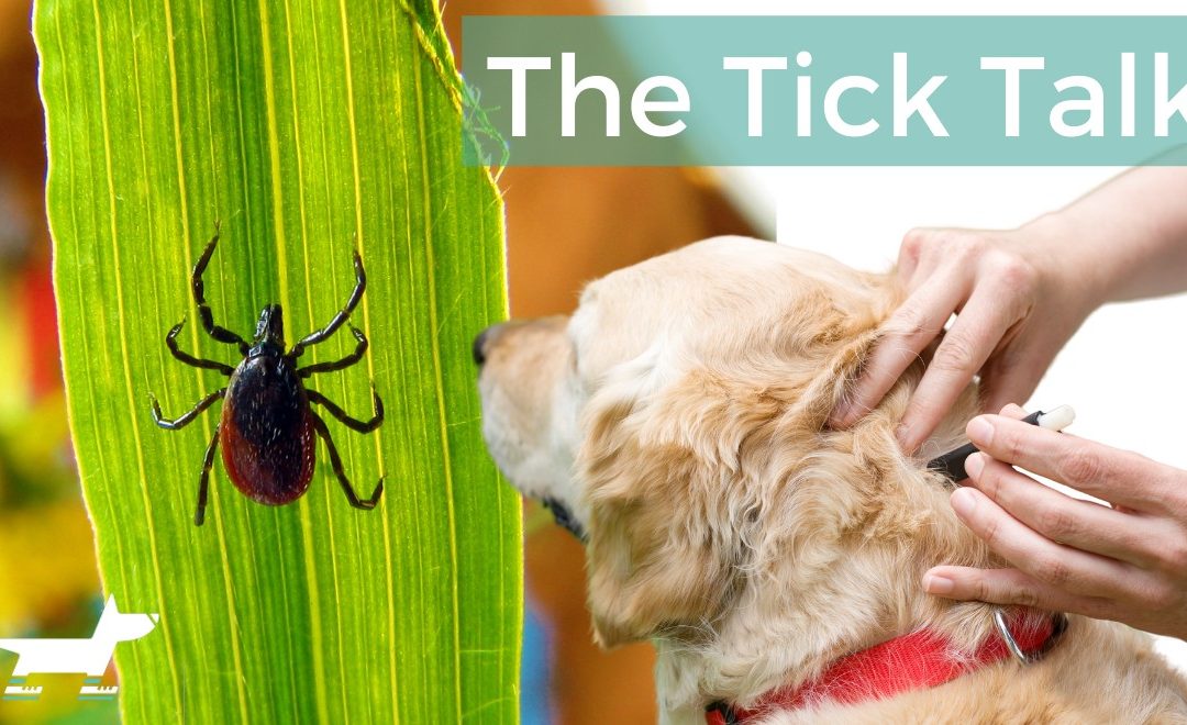 The Tick Talk