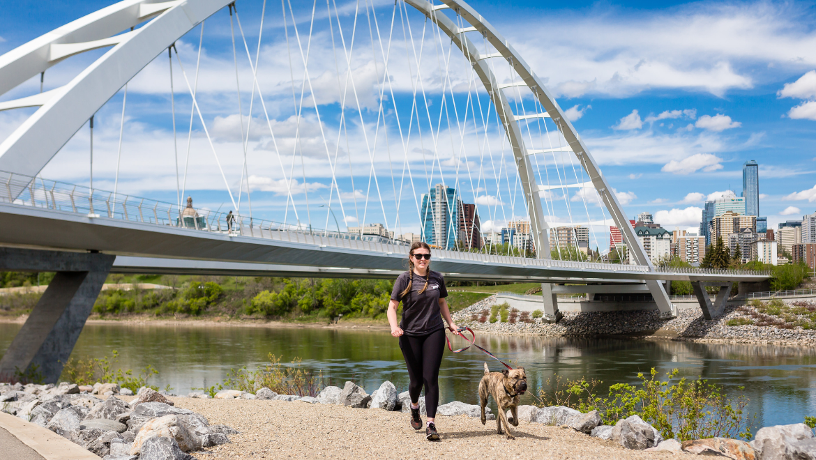 Dog Jogs Edmonton
