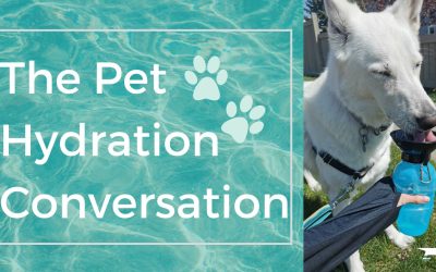 The Pet Hydration Conversation