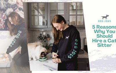 5 Reasons Why You Should Hire a Cat Sitter