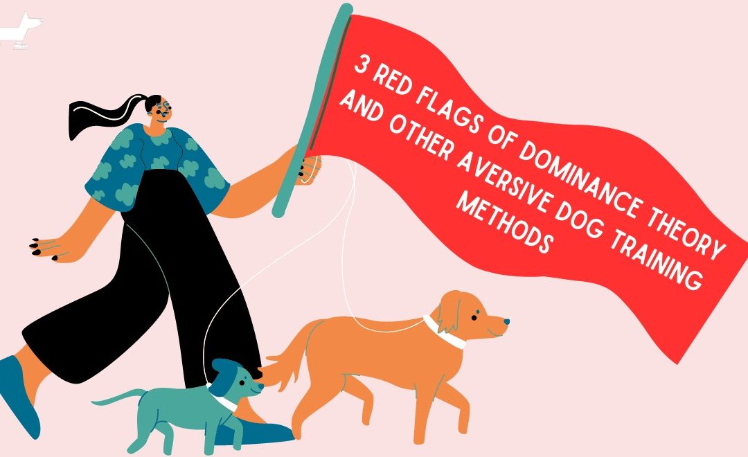 3 Red Flags of Dominance Theory and Other Aversive Dog Training Methods in Edmonton, Alberta