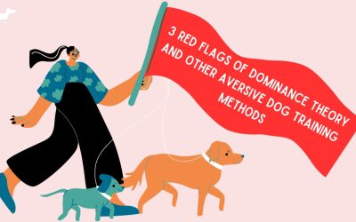 3 Red Flags of Dominance Theory and Other Aversive Dog Training Methods in Edmonton, Alberta
