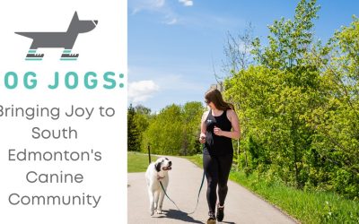 Dog Jogs: Bringing Joy to South Edmonton’s Canine Community