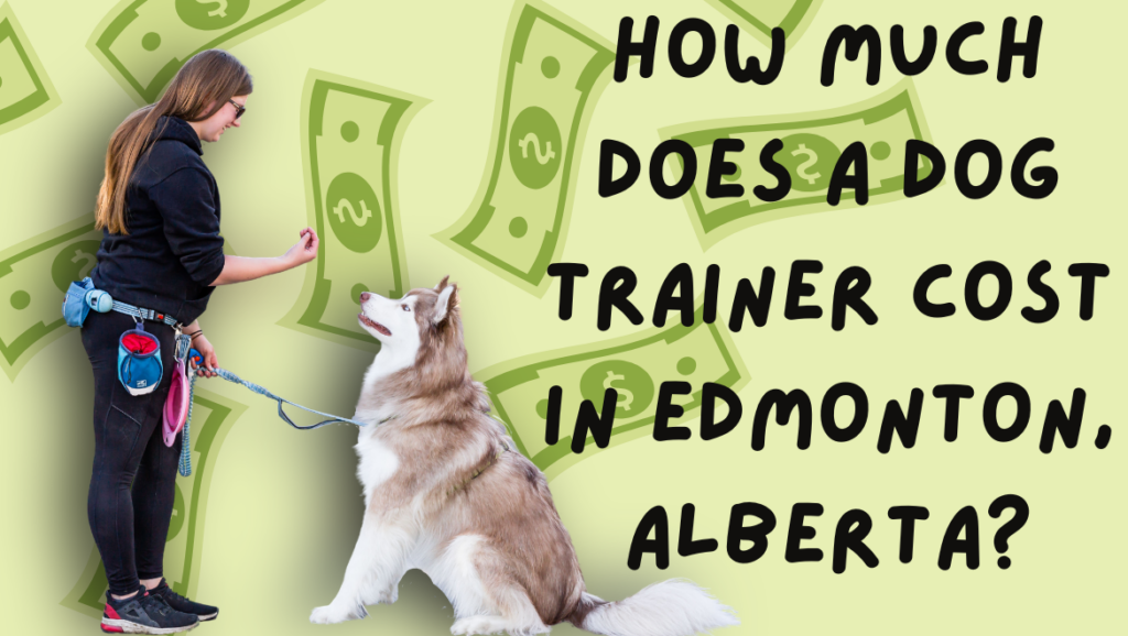 How Much Does Dog Trainer Cost