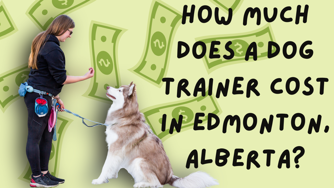 How Much Does A Dog Trainer Cost In Edmonton Alberta Dog Jogs