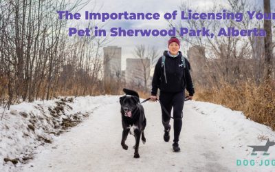 Licensing-Pet-in-Sherwood-Park