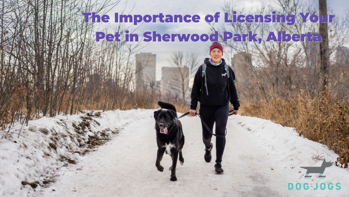 Licensing-Pet-in-Sherwood-Park