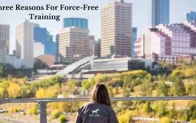 Three Reasons Why Force-Free Training is the Preferred Method for Dog Jogs Dog Trainers