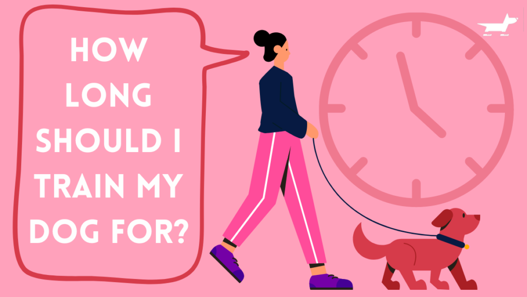 How Long Should I Train My Dog For Dog Jogs
